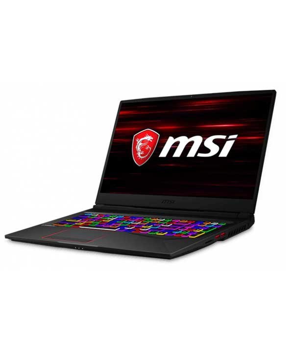 MSI GE75 Raider 10SFS-225
