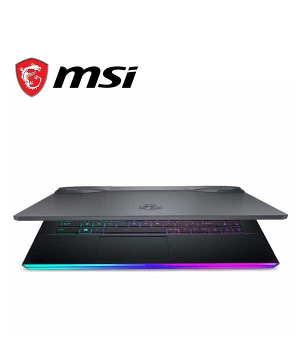 MSI Raider GE66 10SFS
