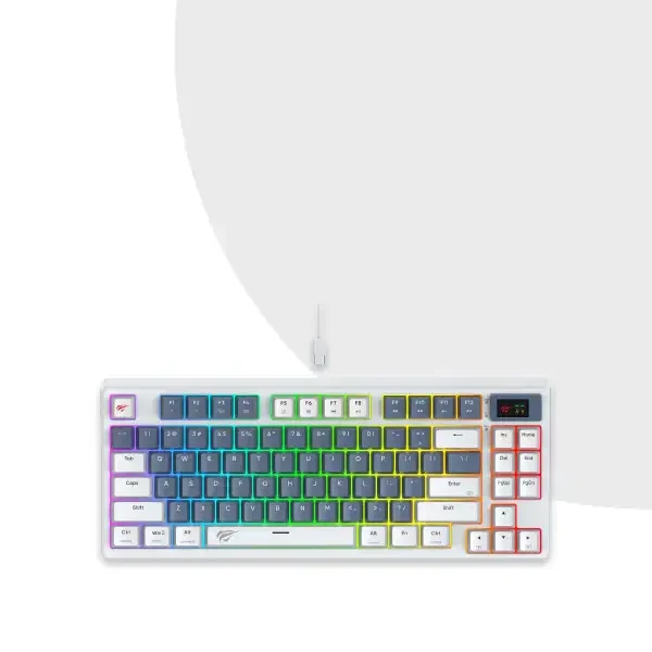 HAVIT KB884L GAMENOTE USB TO TYPE-C MULTI-FUNCTION RGB BACKLIT MECHANICAL KEYBOARD